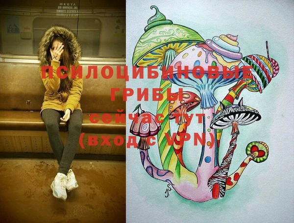 гашик Армянск