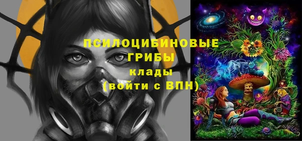 трава Арсеньев