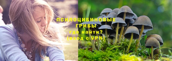 гашик Армянск