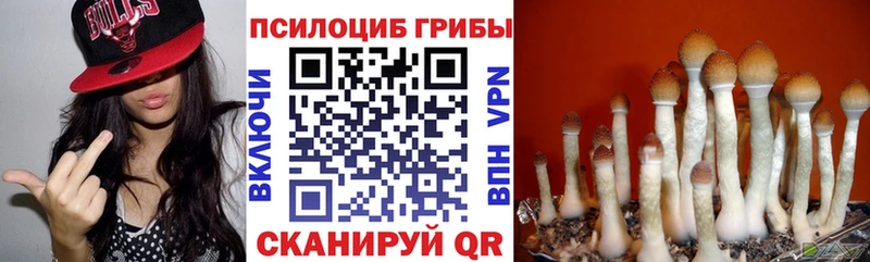 Псилоцибиновые грибы прущие грибы ссылка на мегу как войти Кудрово как найти наркотики